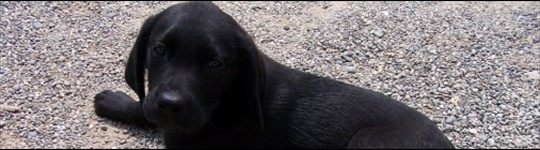 photo4