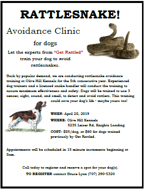 Quail Point Hunt Club & Olive Hill Kennels